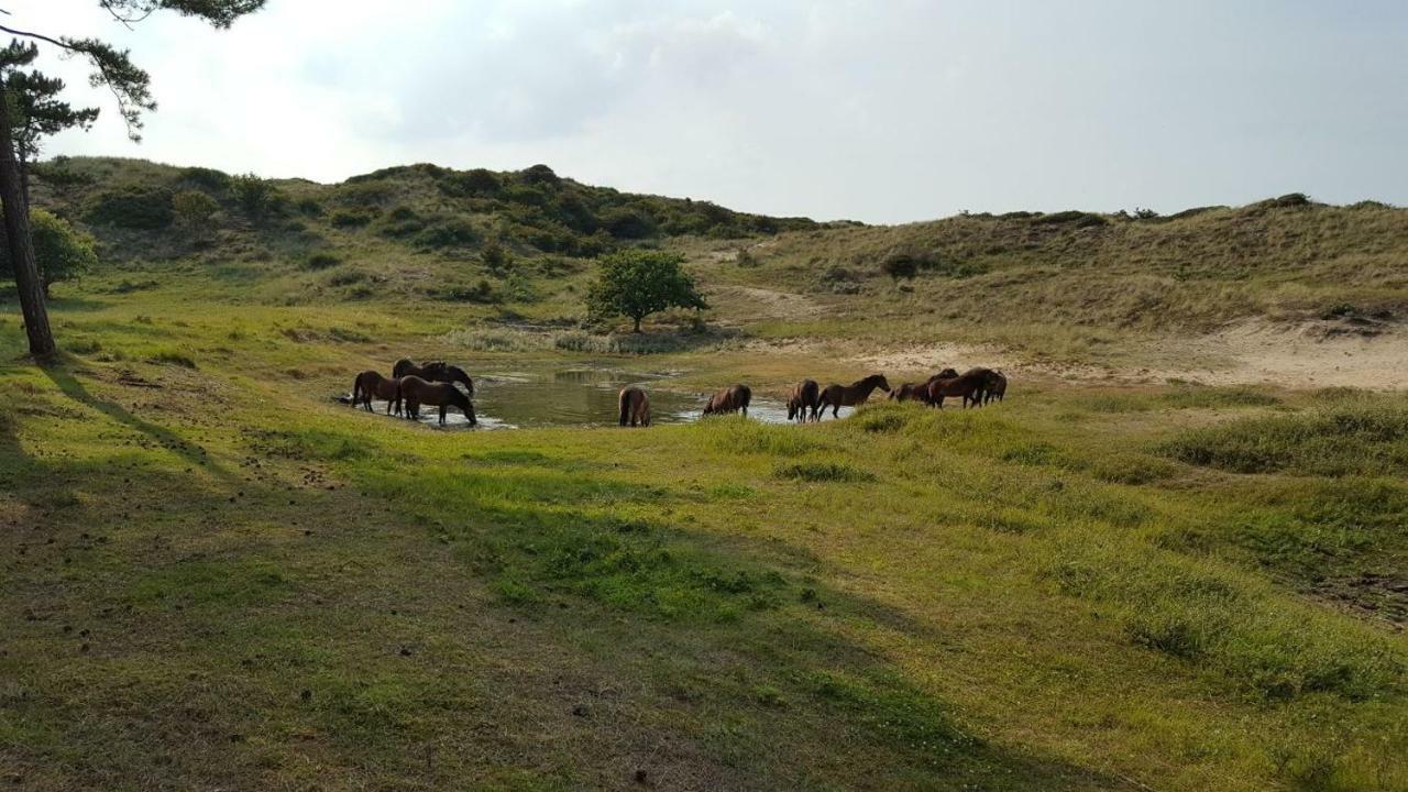 Vrijstaande Blokhut Villa Egmond-Binnen Eksteriør bilde
