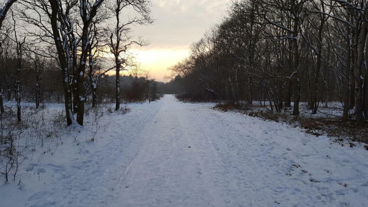 Vrijstaande Blokhut Villa Egmond-Binnen Eksteriør bilde